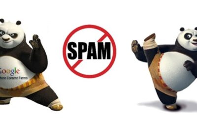 ¿Qué es el algoritmo Panda  y cómo afecta?