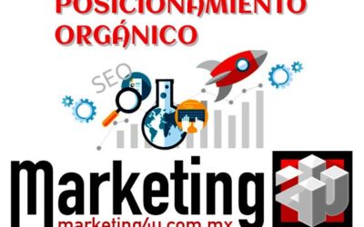 Posicionamiento Orgánico